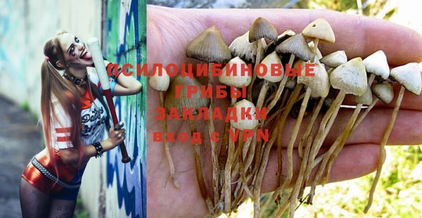 бошки Кодинск