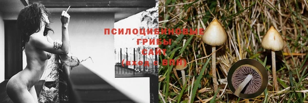 бошки Кодинск