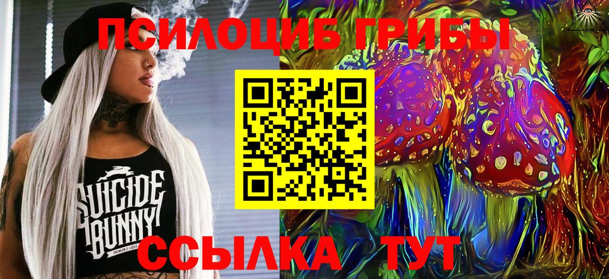 Псилоцибиновые грибы мухоморы Электросталь
